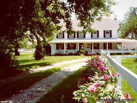 Lazyjack Inn On Dogwood Harbor Tilghman Island Buitenkant foto